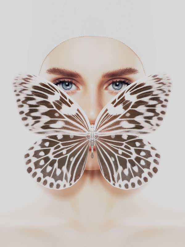 QUADRO BUTTERFLY02