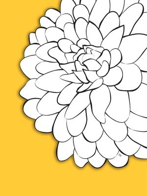 CRISÂNTEMO AMARELO