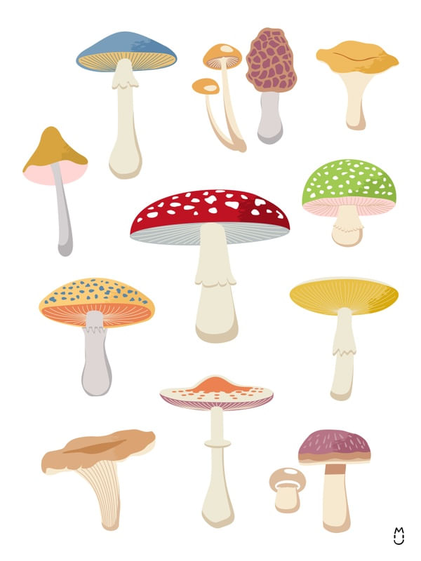 MUSHROOMS PACK