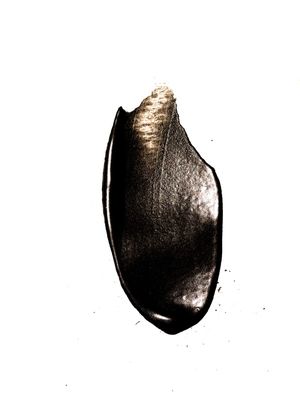 INK SPLASH V