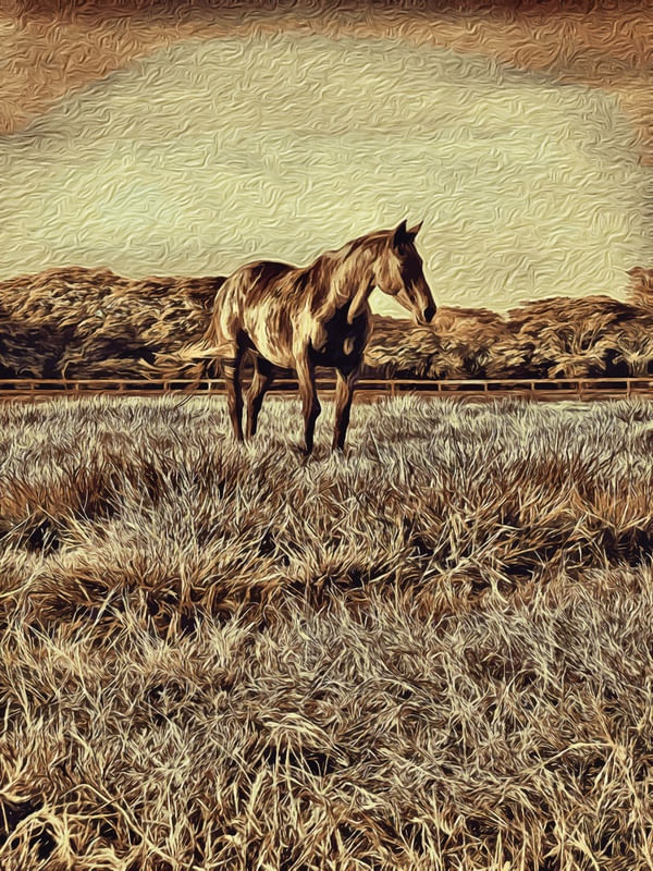 THE FARM 3