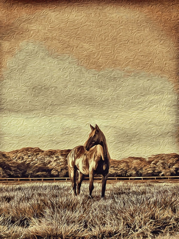 THE FARM 1