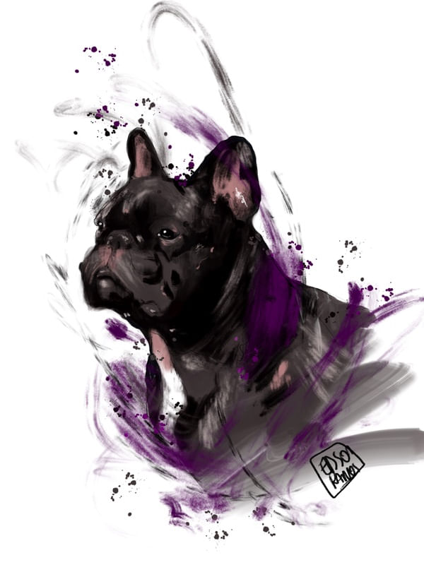 BULL VX