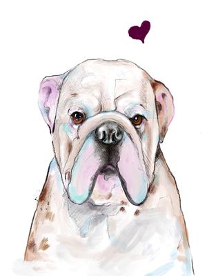 DOG VXLL