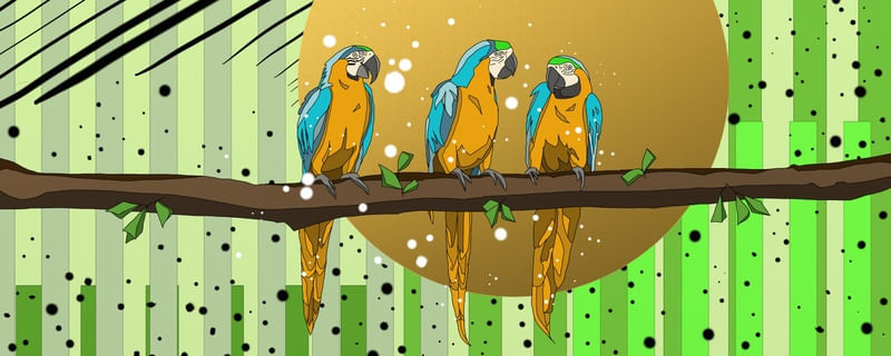 TRIO DE COMADRES (PAISAGENS #001)