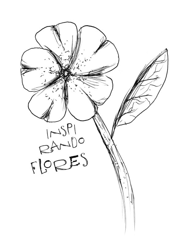 INSPIRANDO FLORES