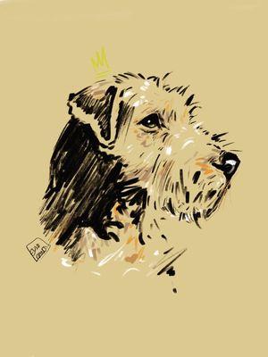 DOG V