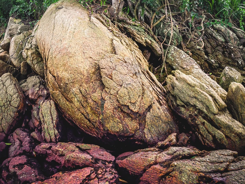 A FORÇA DA NATUREZA - DÍPTICO VERTICAL (BAIXO)