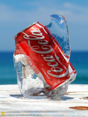 PINGUIM DE GELO COCA