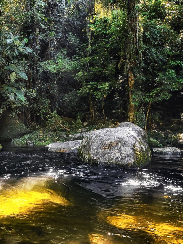 CACHOEIRA MÁGICA - DÍPTICO DIREITA