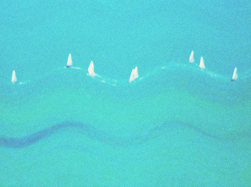A REGATA