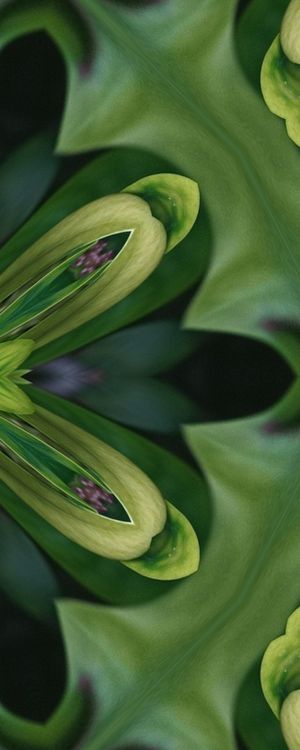 VERDE ABSTRATO #1