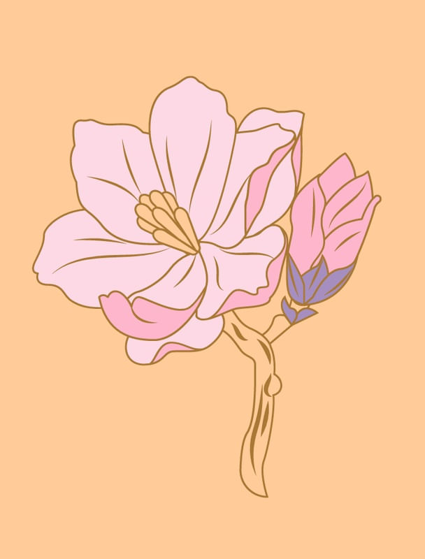FLOR DA ESPERANÇA