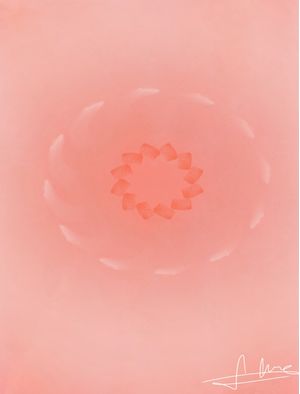 ROSE E BRANCO