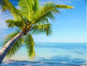 CARIBE É AQUI