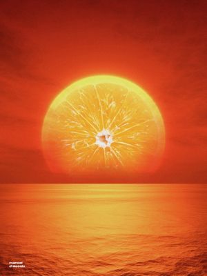 PÔR DA LARANJA