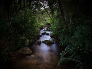 CACHOEIRA - SERTÃO DO RIBEIRÃO