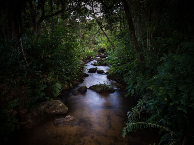 CACHOEIRA - SERTÃO DO RIBEIRÃO