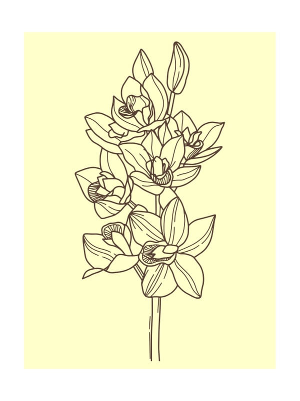 THEACEAE