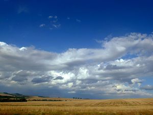 BLUE SKY 04
