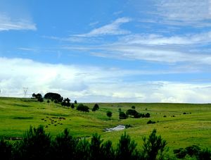 BLUE SKY 05