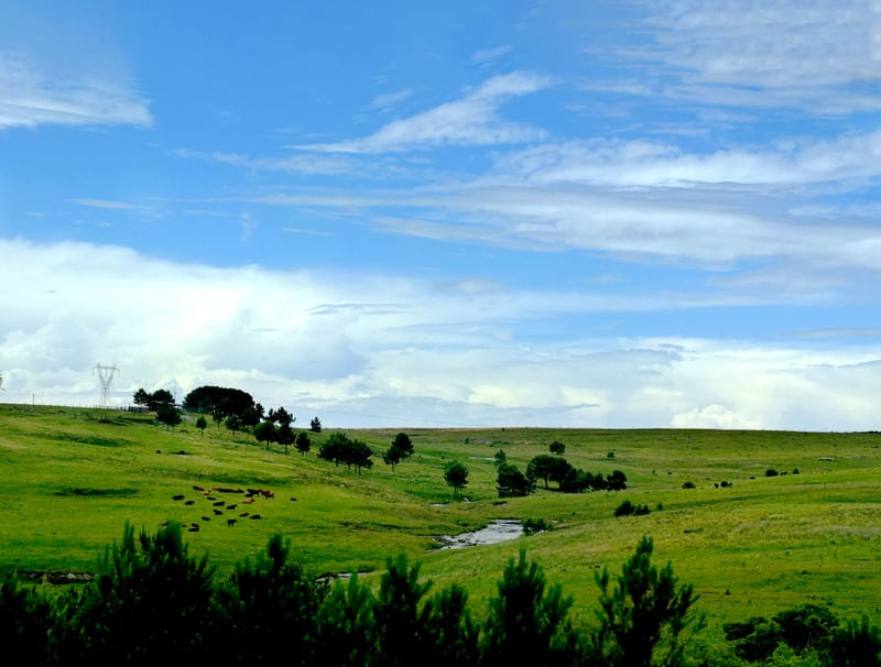 BLUE SKY 05