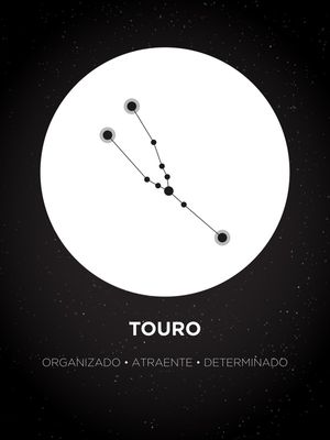 QUADRO SIGNO DE TOURO