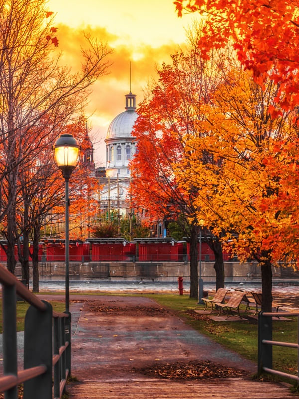 OUTONO EM MONTREAL