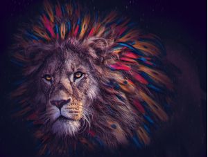 THE KING JUNGLE