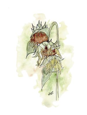 SUNFLOWER OF HOPE - V2