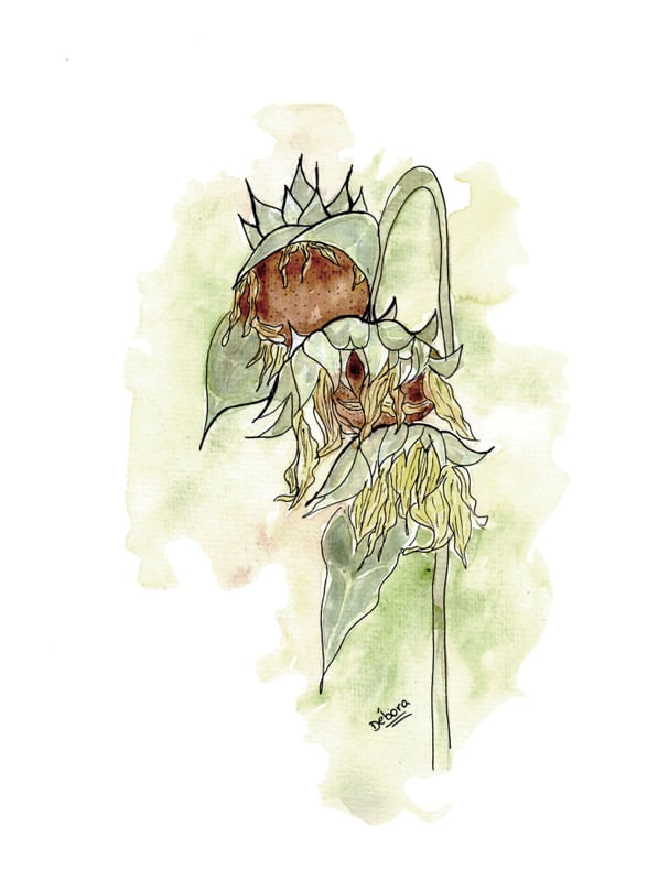 SUNFLOWER OF HOPE - V2