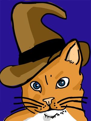 CAT WIZARD
