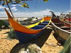 PRAIA CENTRAL IMG_8590