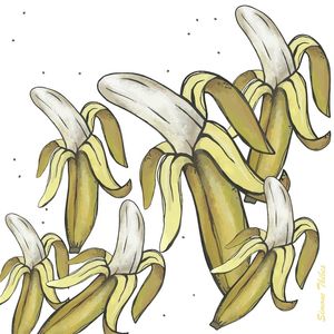BANANEIRA 7- SIMONE THIBES
