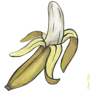 BANANEIRA 8- SIMONE THIBES