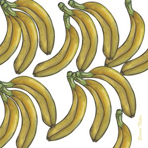 BANANEIRA 9- SIMONE THIBES
