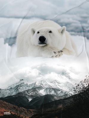 O GRANDE URSO