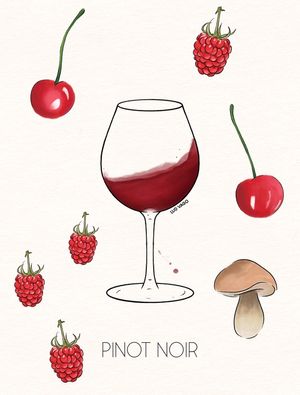 PINOT NOIR (4/6)