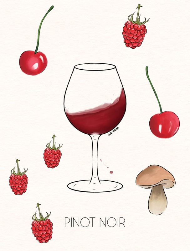 PINOT NOIR (4/6)