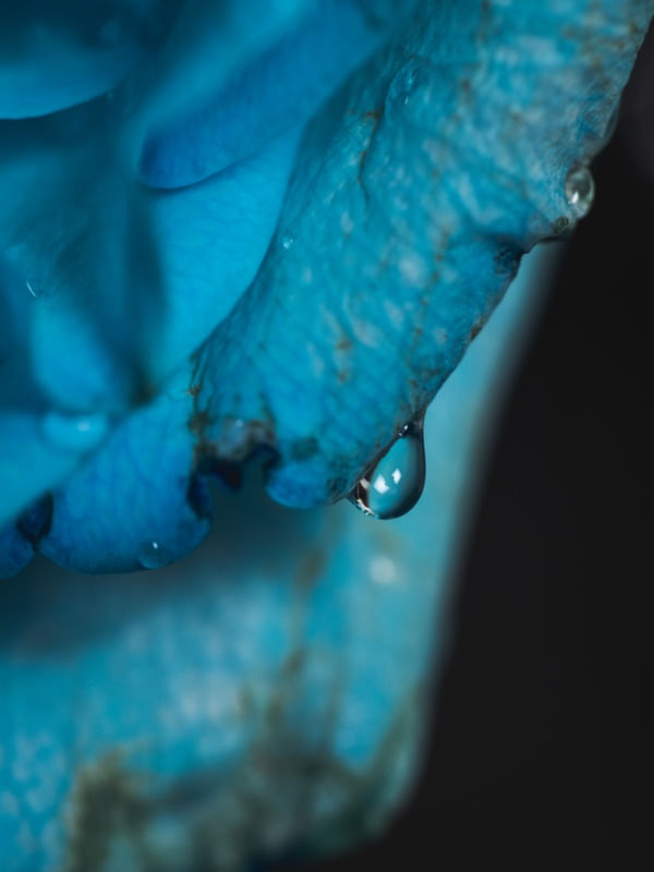 BLUE DROP