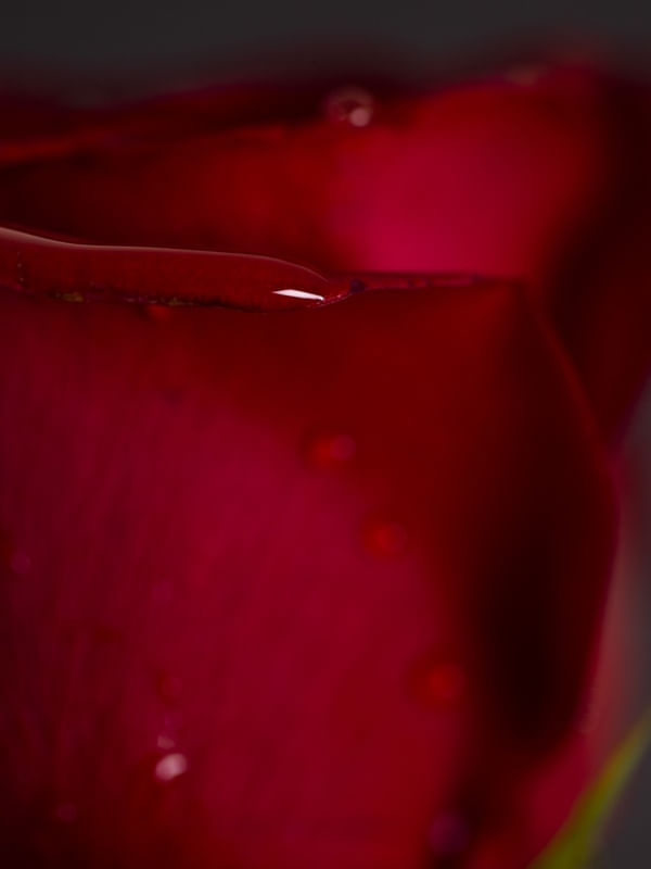 REDNESS