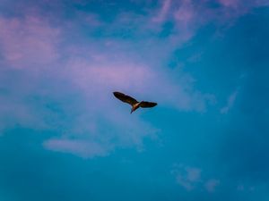 CÉU ROSA E AZUL