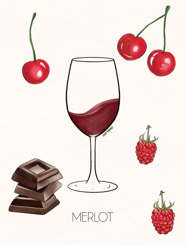 MERLOT (5/6)