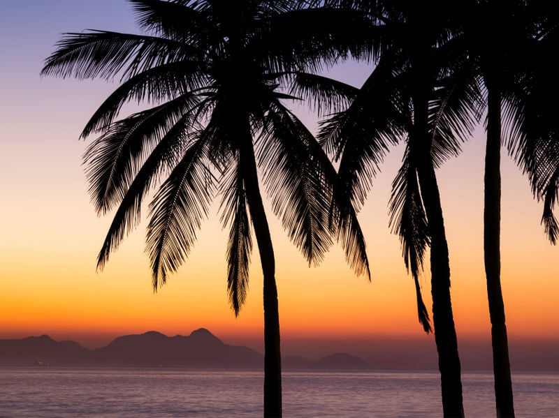 RIO 40º II