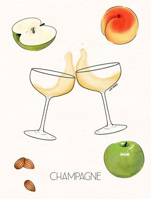 CHAMPAGNE (2/6)