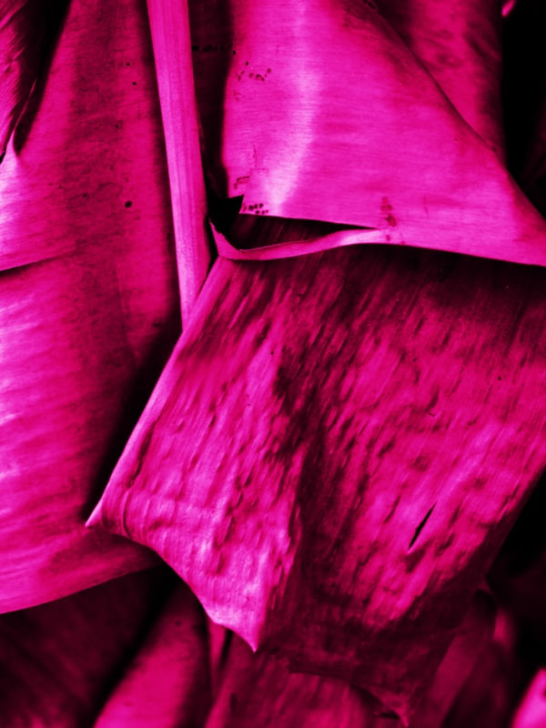 NATUREZA RÚSTICA FOLHA ROSA DE BANANEIRA ARTISTA GLORIA RIMES