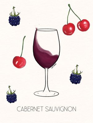 CABERNET SAUVIGNON (6/6)