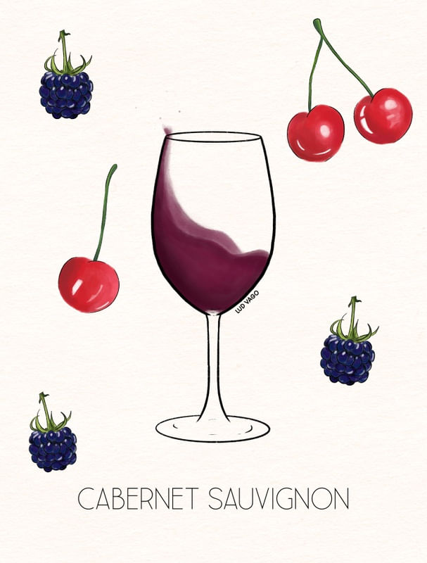 CABERNET SAUVIGNON (6/6)