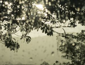 DEPOIS DA CHUVA, CALMARIA I