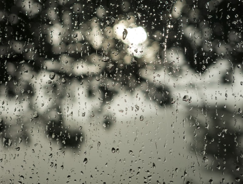 DEPOIS DA CHUVA, CALMARIA IV